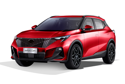 EMZOOM - GAC Peninsula in Mérida Yucatán